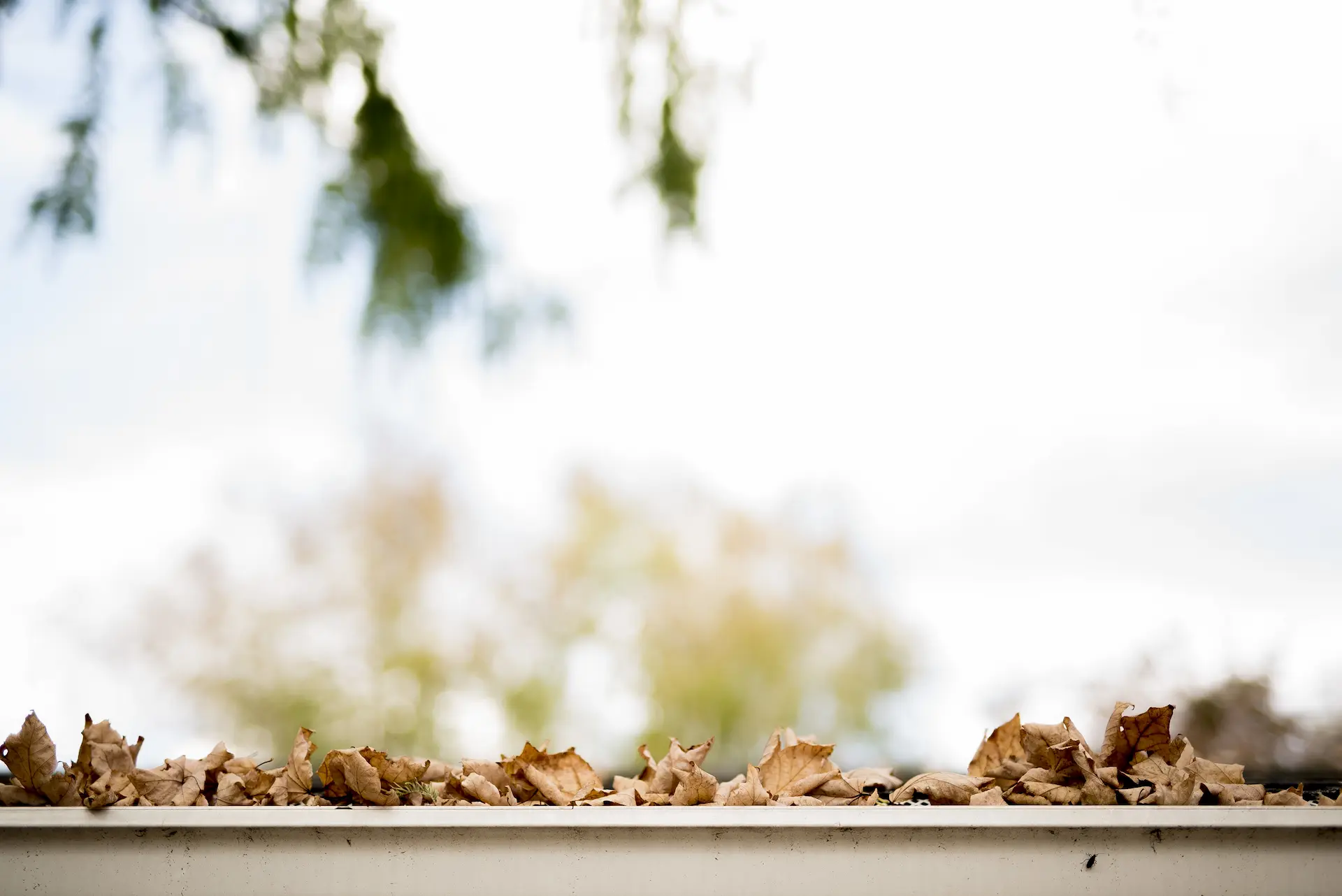 Roof Gutter Cleaning Perth